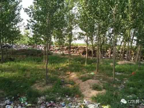 640_wx_fmt=jpeg&tp=webp&wxfrom=5&wx_lazy=1.webp (1)