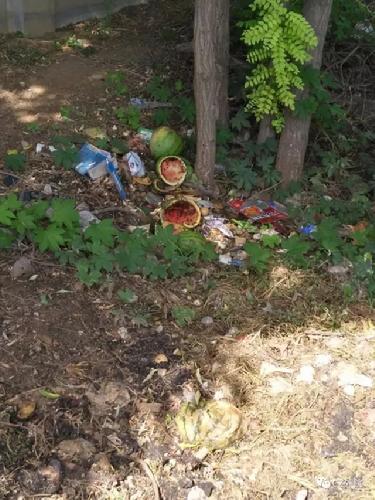 640_wx_fmt=jpeg&tp=webp&wxfrom=5&wx_lazy=1.webp (2)